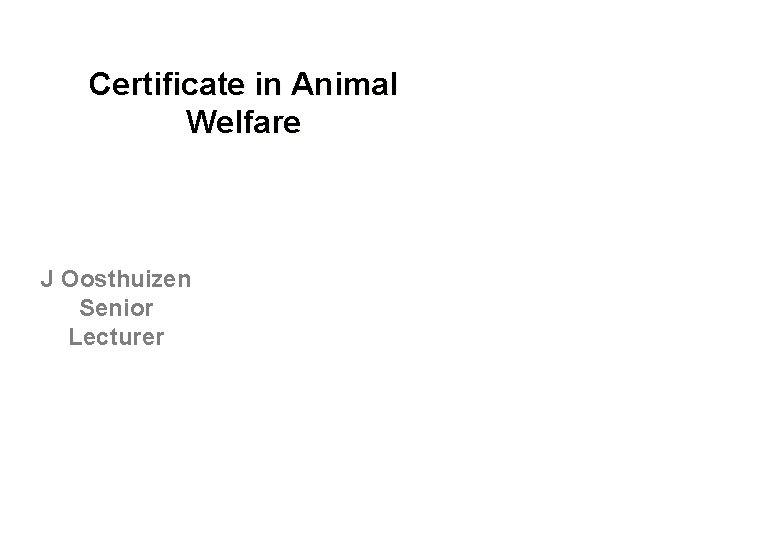 Certificate in Animal Welfare J Oosthuizen Senior Lecturer 