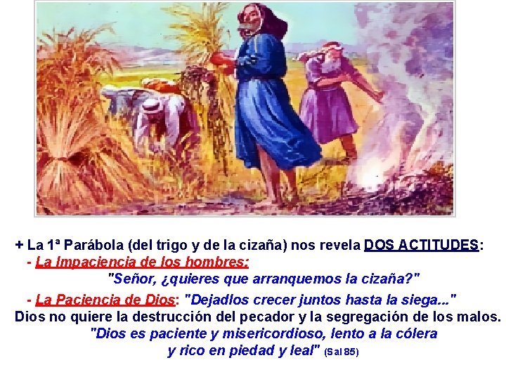 + La 1ª Parábola (del trigo y de la cizaña) nos revela DOS ACTITUDES: