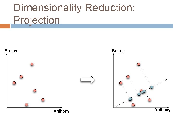 Dimensionality Reduction: Projection Brutus Anthony 