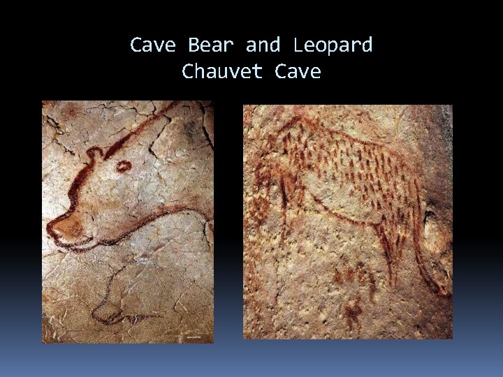 Cave Bear and Leopard Chauvet Cave 