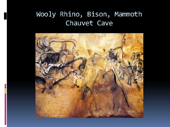 Wooly Rhino, Bison, Mammoth Chauvet Cave 