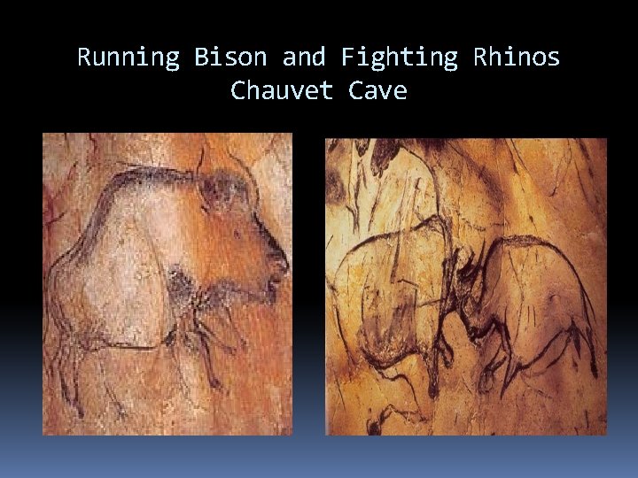 Running Bison and Fighting Rhinos Chauvet Cave 