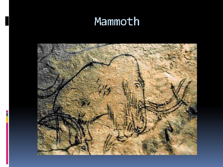 Mammoth 