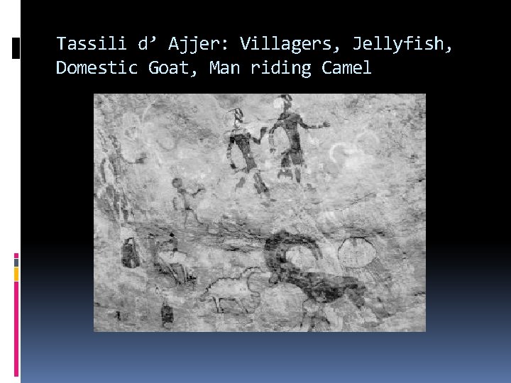 Tassili d’ Ajjer: Villagers, Jellyfish, Domestic Goat, Man riding Camel 