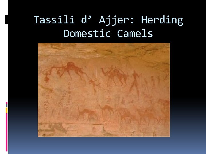 Tassili d’ Ajjer: Herding Domestic Camels 