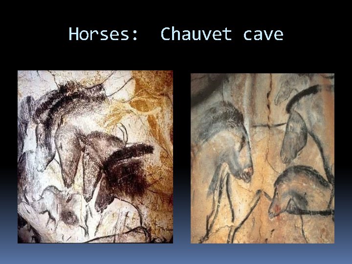 Horses: Chauvet cave 