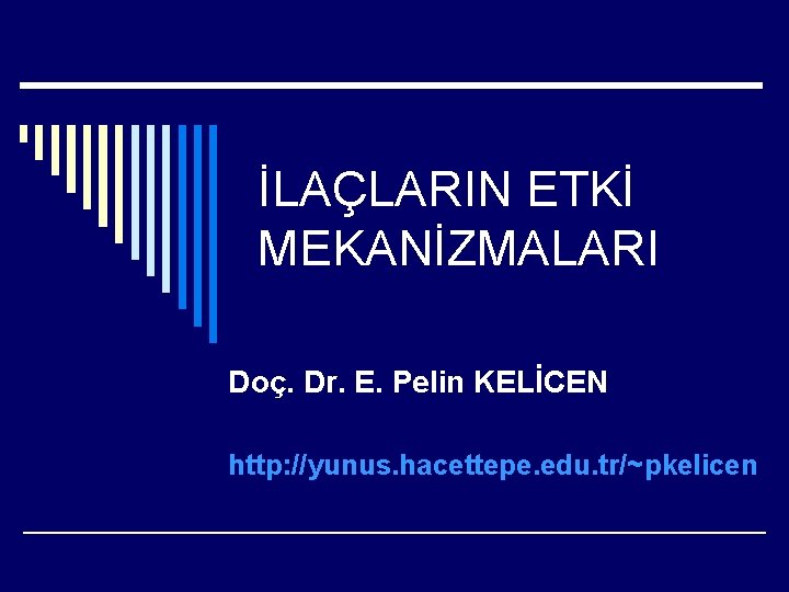 İLAÇLARIN ETKİ MEKANİZMALARI Doç. Dr. E. Pelin KELİCEN http: //yunus. hacettepe. edu. tr/~pkelicen 