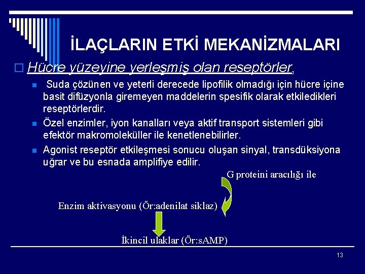 İLAÇLARIN ETKİ MEKANİZMALARI o Hücre yüzeyine yerleşmiş olan reseptörler, n n n Suda çözünen