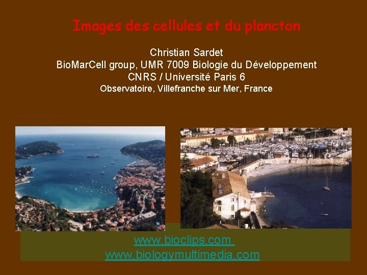 Images des cellules et du plancton Christian Sardet Bio. Mar. Cell group, UMR 7009