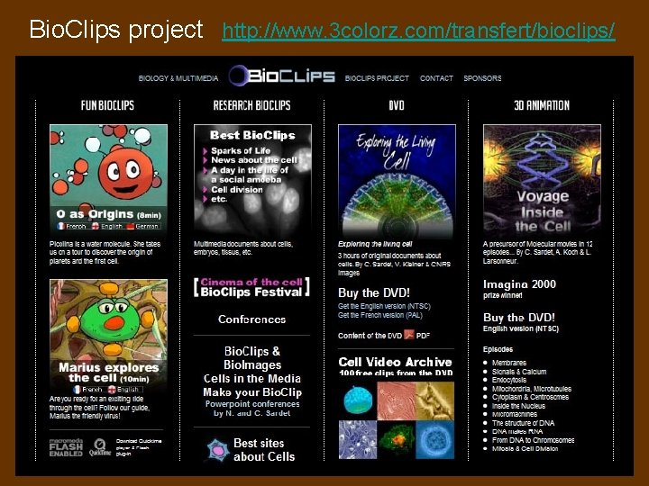 Bio. Clips project http: //www. 3 colorz. com/transfert/bioclips/ 