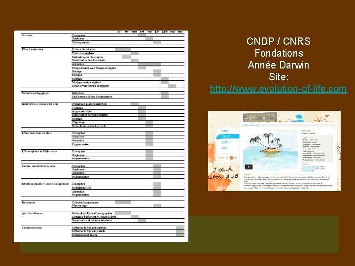 CNDP / CNRS Fondations Année Darwin Site: http: //www. evolution-of-life. com 