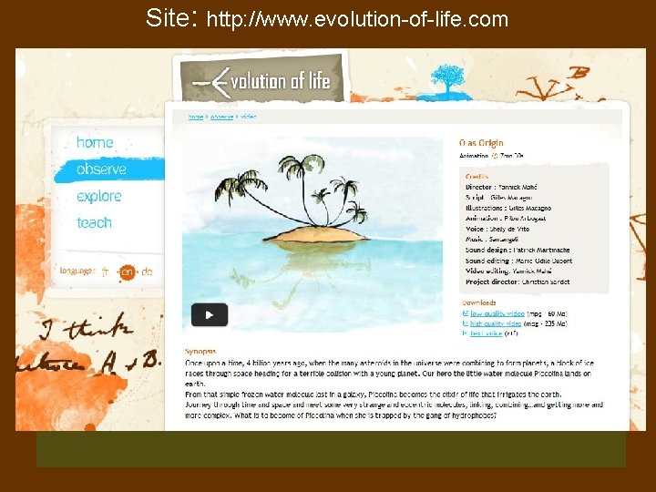 Site: http: //www. evolution-of-life. com 