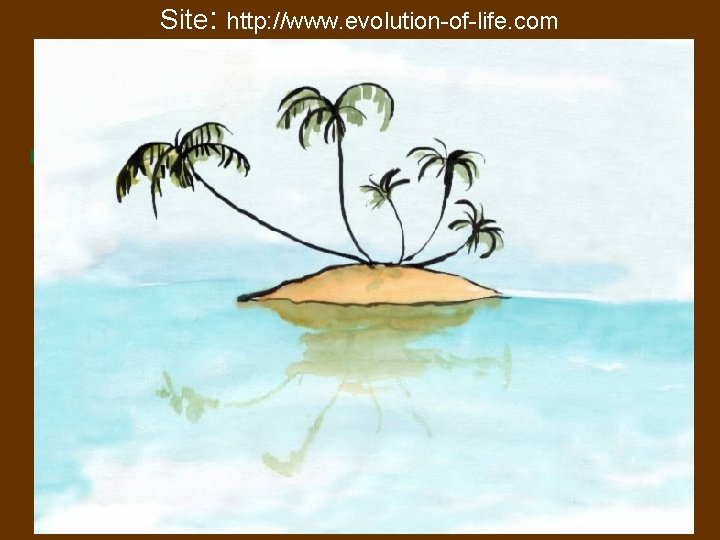 Site: http: //www. evolution-of-life. com 