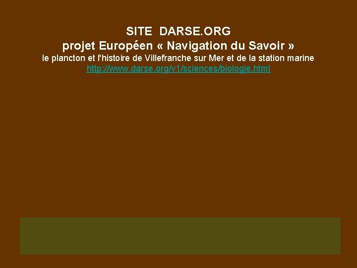 SITE DARSE. ORG projet Européen « Navigation du Savoir » le plancton et l'histoire