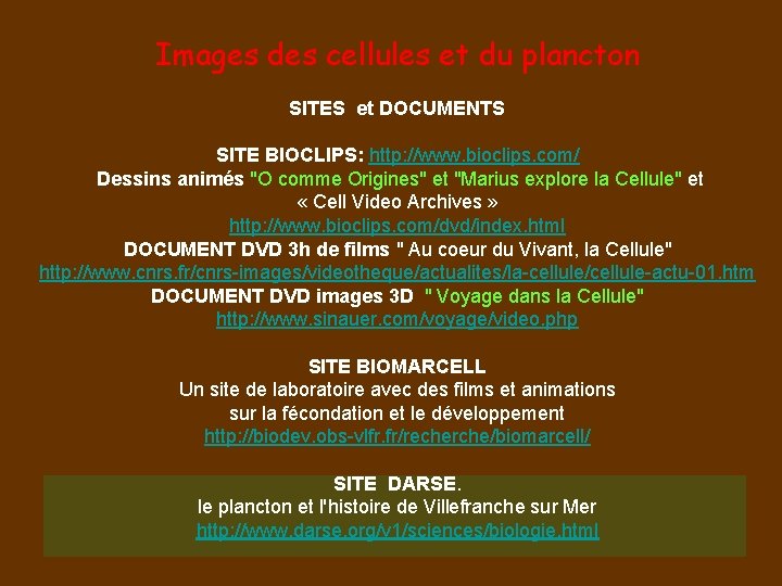 Images des cellules et du plancton SITES et DOCUMENTS SITE BIOCLIPS: http: //www. bioclips.