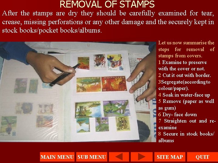 REMOVAL OF STAMPS After the stamps are dry they should be carefully examined for