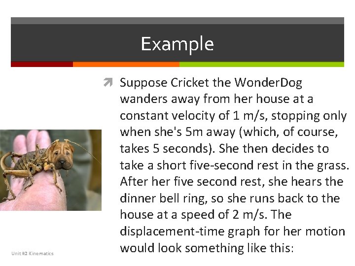 Example Suppose Cricket the Wonder. Dog Unit #2 Kinematics wanders away from her house