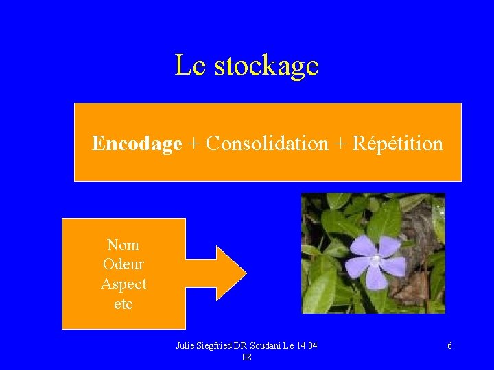 Le stockage Encodage + Consolidation + Répétition Nom Odeur Aspect etc Julie Siegfried DR