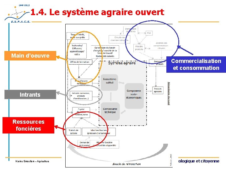 1. 4. Le système agraire ouvert Main d’oeuvre Commercialisation et consommation Intrants Ressources foncières