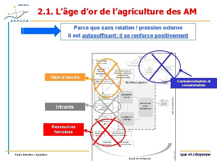 2. 1. L’âge d’or de l’agriculture des AM Parce que sans relation / pression