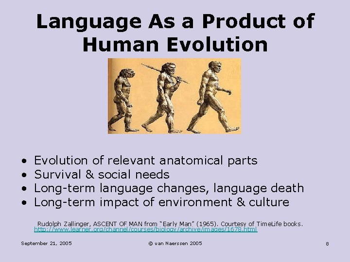 Language As a Product of Human Evolution • • Evolution of relevant anatomical parts
