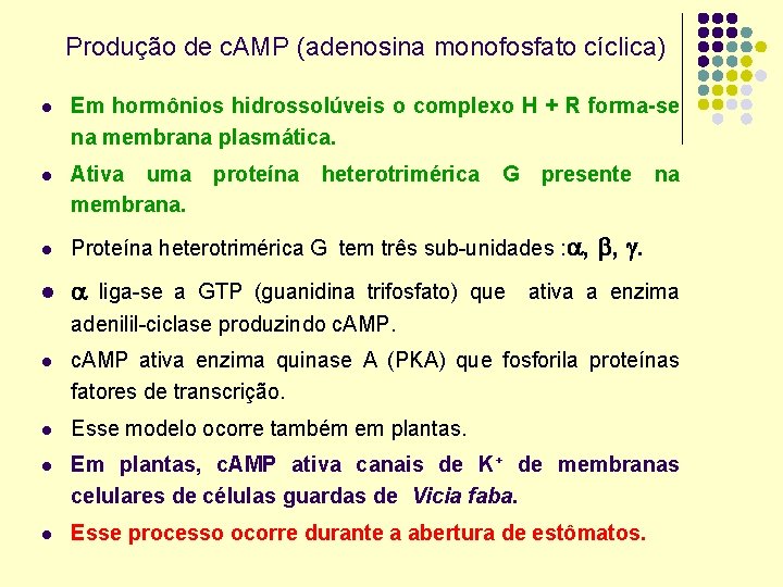 Produção de c. AMP (adenosina monofosfato cíclica) l Em hormônios hidrossolúveis o complexo H
