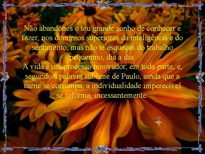 Não abandones o teu grande sonho de conhecer e fazer, nos domínios superiores da