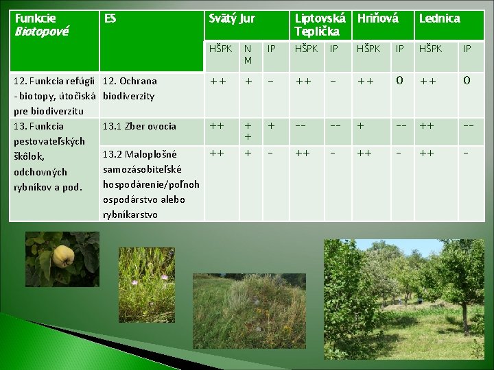 Funkcie Biotopové 12. Funkcia refúgií - biotopy, útočiská pre biodiverzitu 13. Funkcia pestovateľských škôlok, Funkcie Biotopové 12. Funkcia refúgií - biotopy, útočiská pre biodiverzitu 13. Funkcia pestovateľských škôlok,