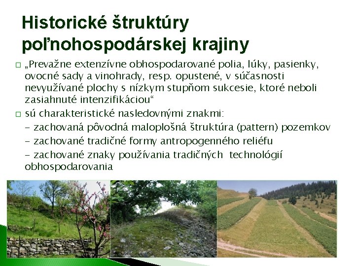 Historické štruktúry poľnohospodárskej krajiny � � „Prevažne extenzívne obhospodarované polia, lúky, pasienky, ovocné sady Historické štruktúry poľnohospodárskej krajiny � � „Prevažne extenzívne obhospodarované polia, lúky, pasienky, ovocné sady