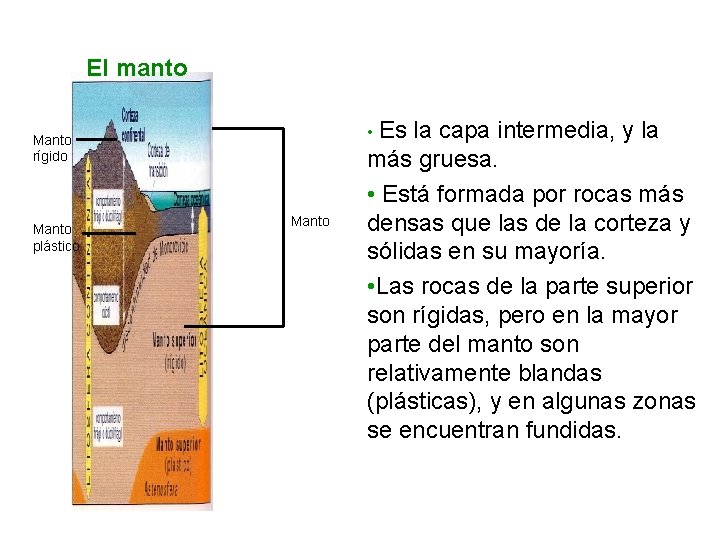 UNIDAD 6 El manto • Es la capa intermedia, y la Manto rígido Manto