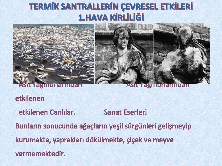 TERMİK SANTRALLERİN ÇEVRESEL ETKİLERİ 1. HAVA KİRLİLİĞİ Asit Yağmurlarından etkilenen Canlılar. Sanat Eserleri Bunların