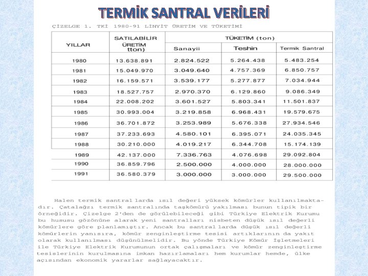 TERMİK SANTRAL VERİLERİ 