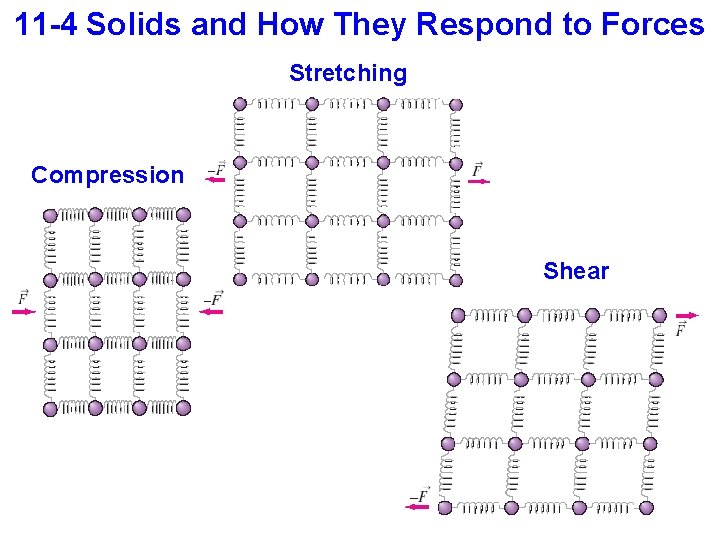 11 -4 Solids and How They Respond to Forces Stretching Compression Shear 