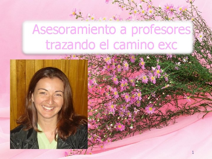 Asesoramiento a profesores trazando el camino exc 1 