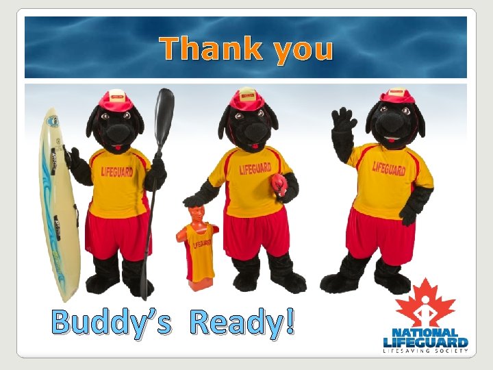 Thank you Buddy’s Ready! Thank you Buddy’s Ready!