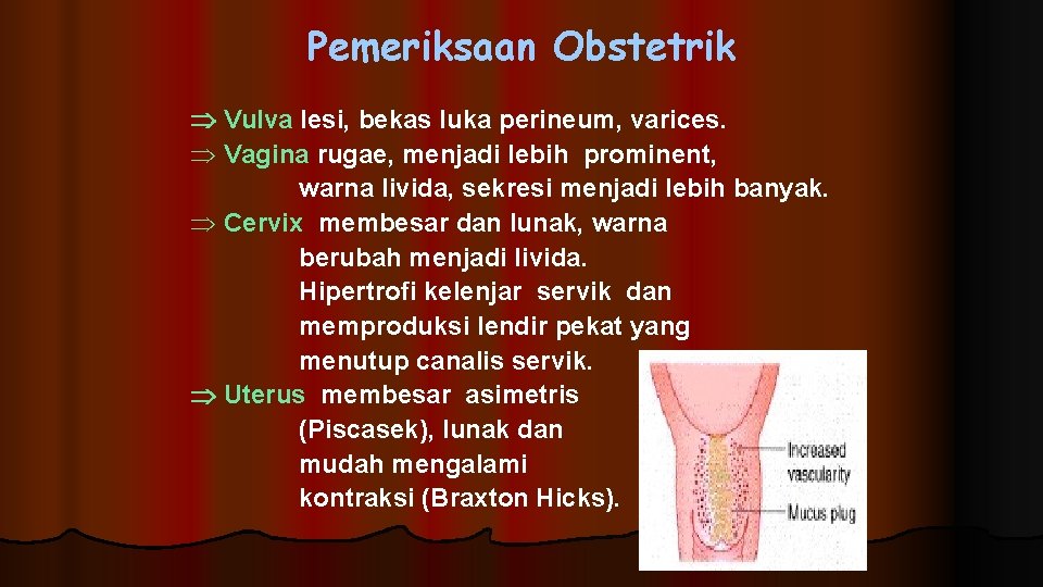 Pemeriksaan Obstetrik Vulva lesi, bekas luka perineum, varices. Þ Vagina rugae, menjadi lebih prominent,