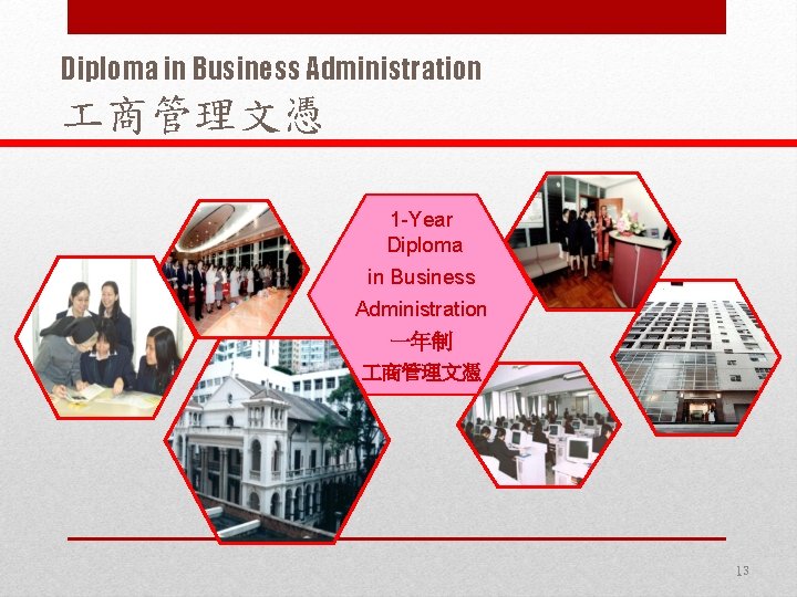Diploma in Business Administration 商管理文憑 1 -Year Diploma in Business Administration 一年制 商管理文憑 13