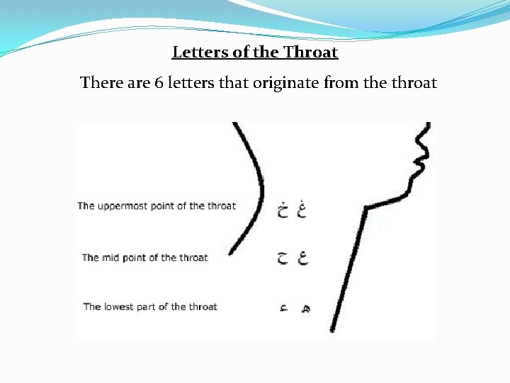 Letters of the Throat There are 6 letters that originate from the throat 