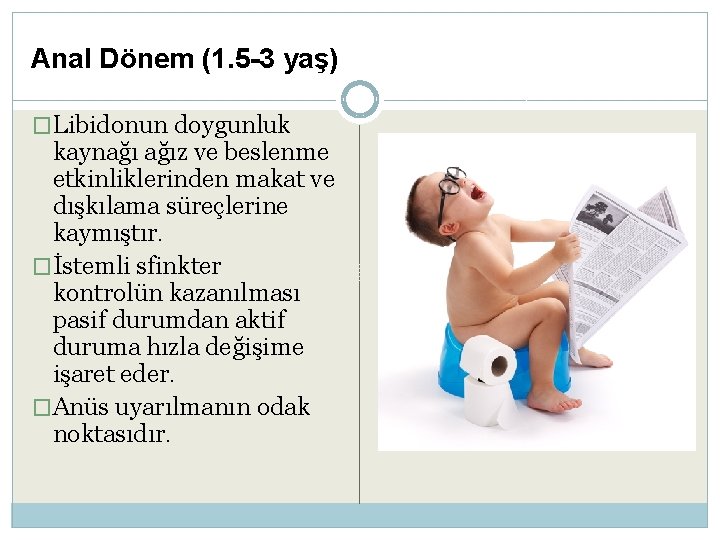 Anal Dönem (1. 5 -3 yaş) �Libidonun doygunluk kaynağı ağız ve beslenme etkinliklerinden makat