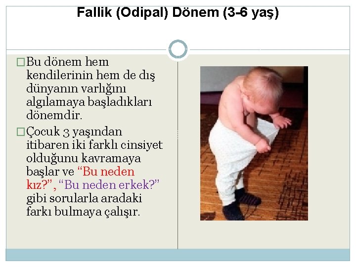 Fallik (Odipal) Dönem (3 -6 yaş) �Bu dönem hem kendilerinin hem de dış dünyanın