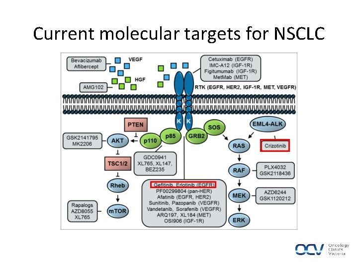 Current molecular targets for NSCLC 