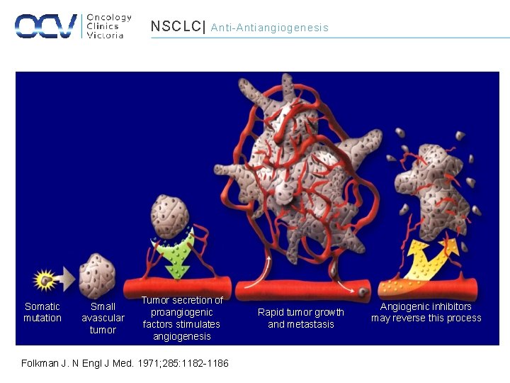 NSCLC| Somatic mutation Small avascular tumor Anti-Antiangiogenesis Tumor secretion of proangiogenic factors stimulates angiogenesis