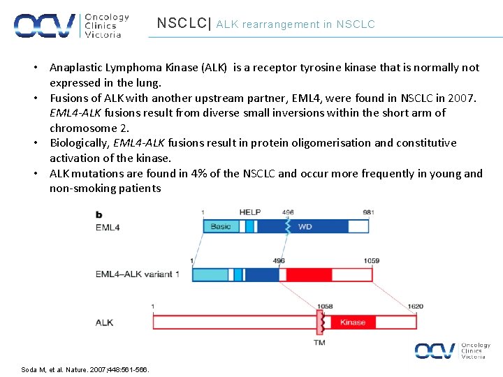 NSCLC| ALK rearrangement in NSCLC • Anaplastic Lymphoma Kinase (ALK) is a receptor tyrosine