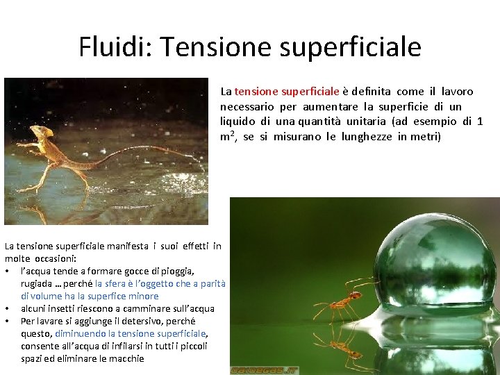 Fluidi: Tensione superficiale La tensione superficiale è definita come il lavoro necessario per aumentare