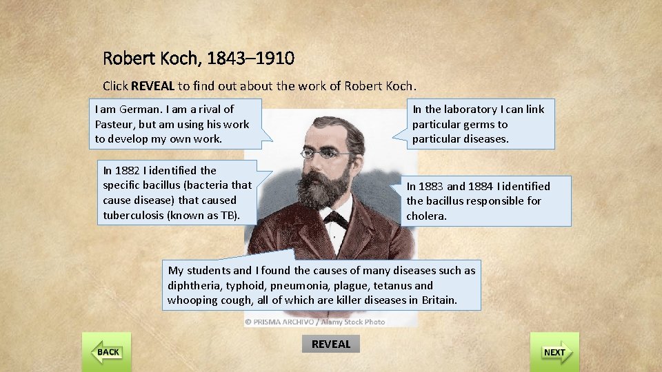 Robert Koch, 1843– 1910 Click REVEAL to find out about the work of Robert