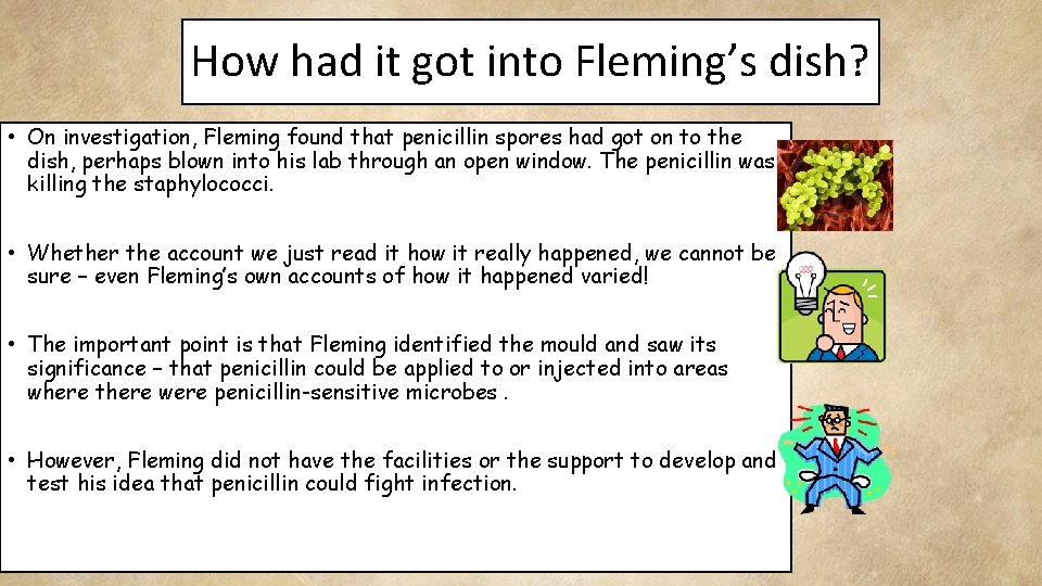 How had it got into Fleming’s dish? • On investigation, Fleming found that penicillin