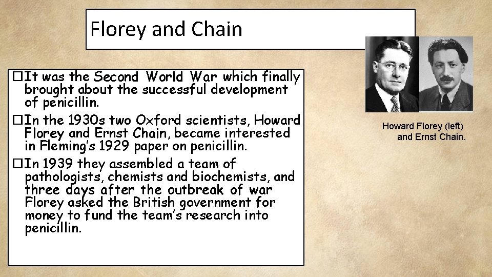 Florey and Chain It was the Second World War which finally brought about the