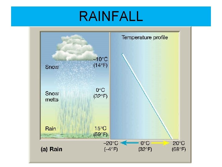 RAINFALL 