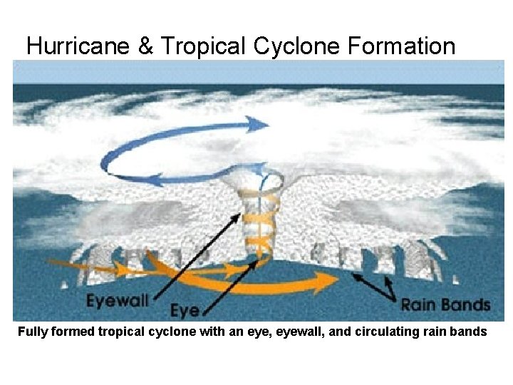 Hurricane & Tropical Cyclone Formation Fully formed tropical cyclone with an eye, eyewall, and