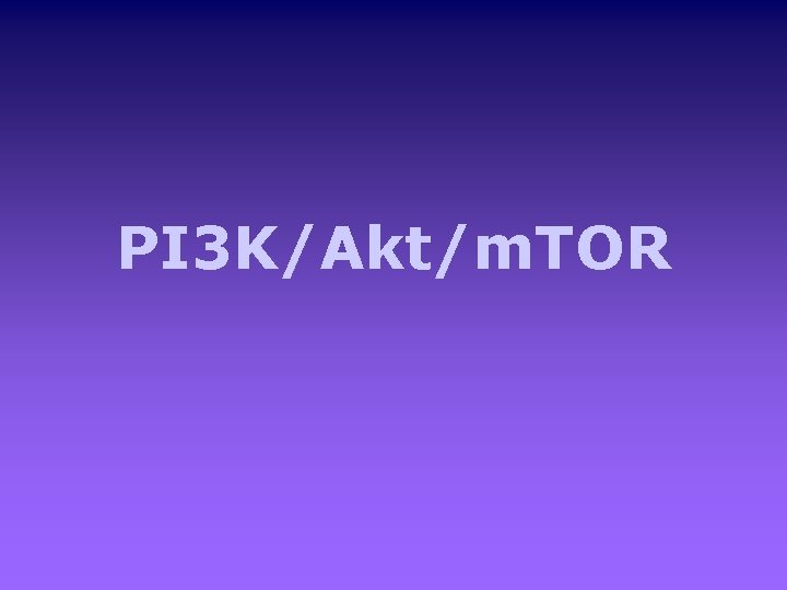 PI 3 K/Akt/m. TOR 
